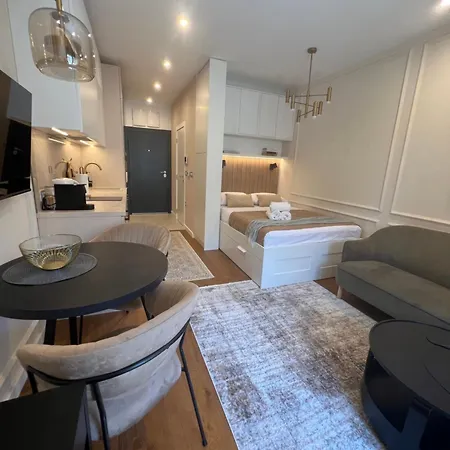 Golden Olive Boutique With Private Parking * Novi Sad