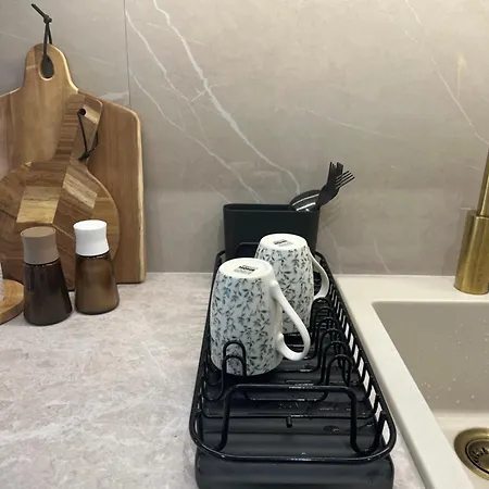 Golden Olive Boutique With Private Parking * Novi Sad