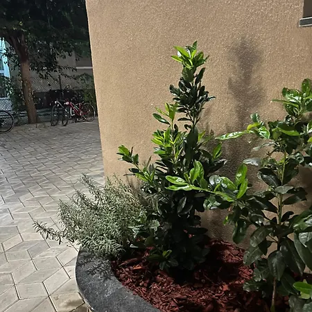 Golden Olive Boutique With Private Parking Novi Sad