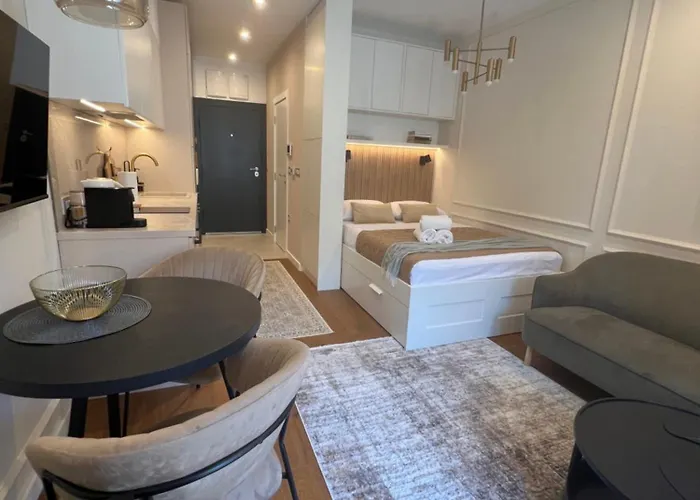 Golden Olive Boutique With Private Parking * نوفي ساد