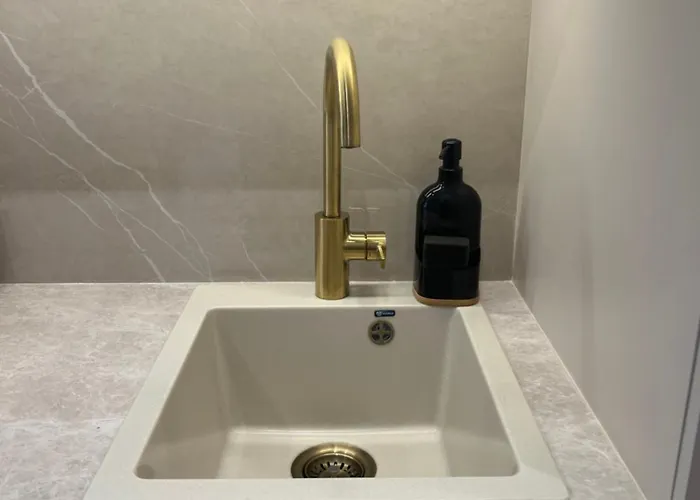 Golden Olive Boutique With Private Parking نوفي ساد