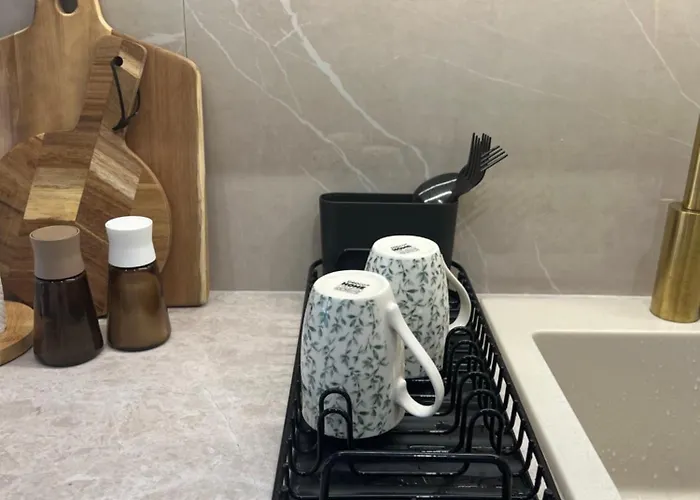 Golden Olive Boutique With Private Parking * نوفي ساد