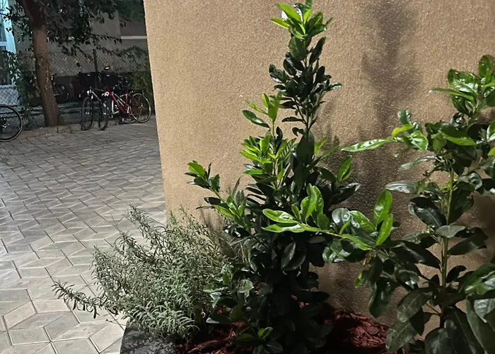 Golden Olive Boutique With Private Parking نوفي ساد